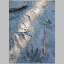 DSCN0431cr site center.jpg